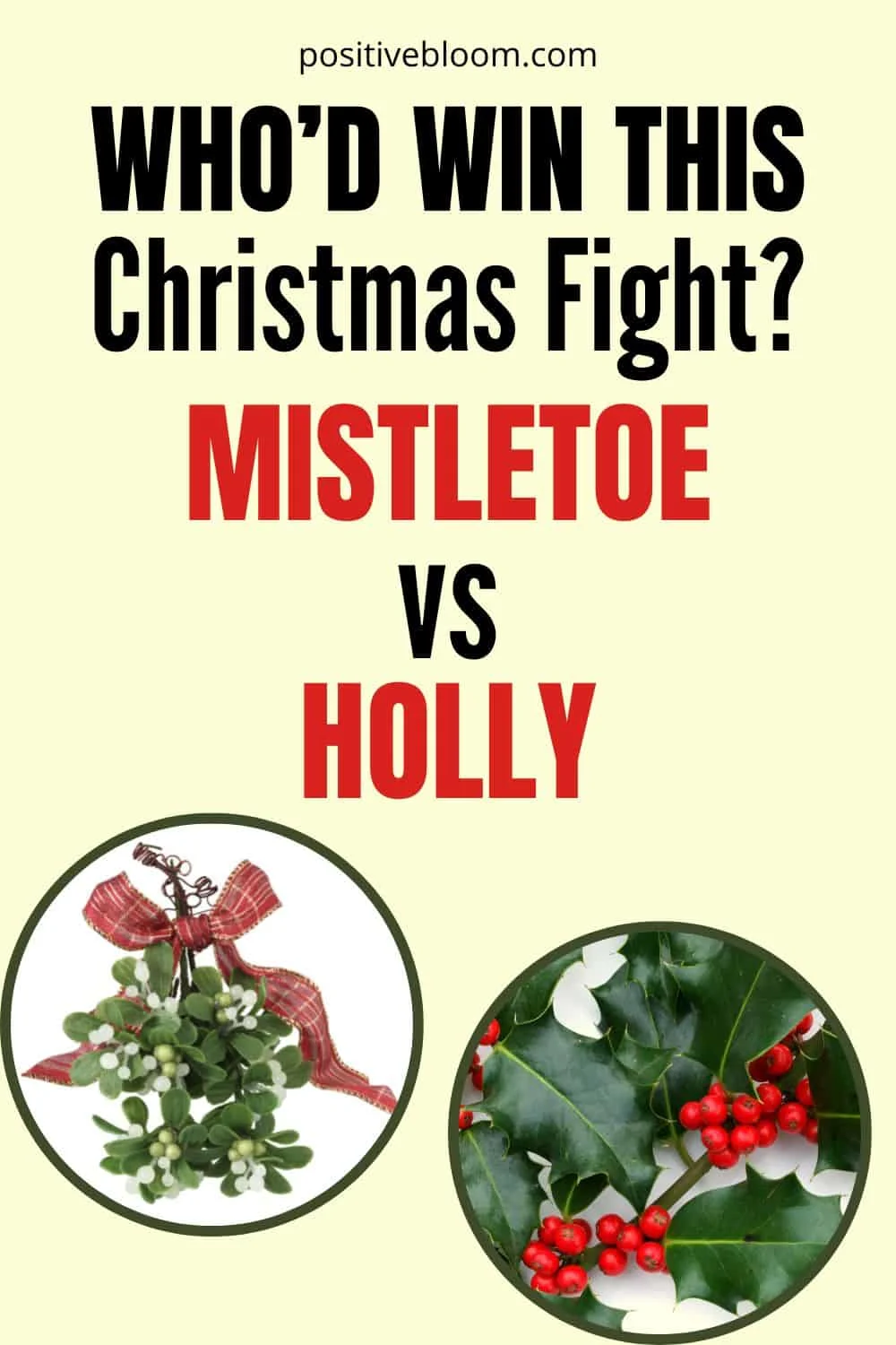 Who D Win This Christmas Fight Mistletoe Vs Holly Who D Win This Christmas Fight Mistletoe Vs Holly